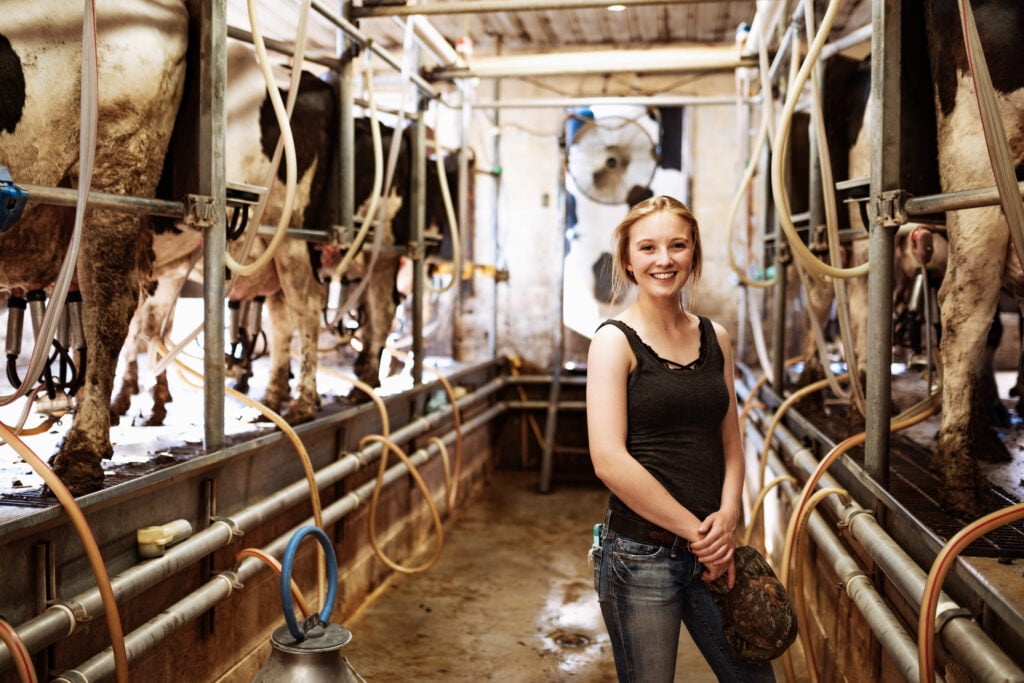 Dairy Industry Opportunities Dairy Jobs